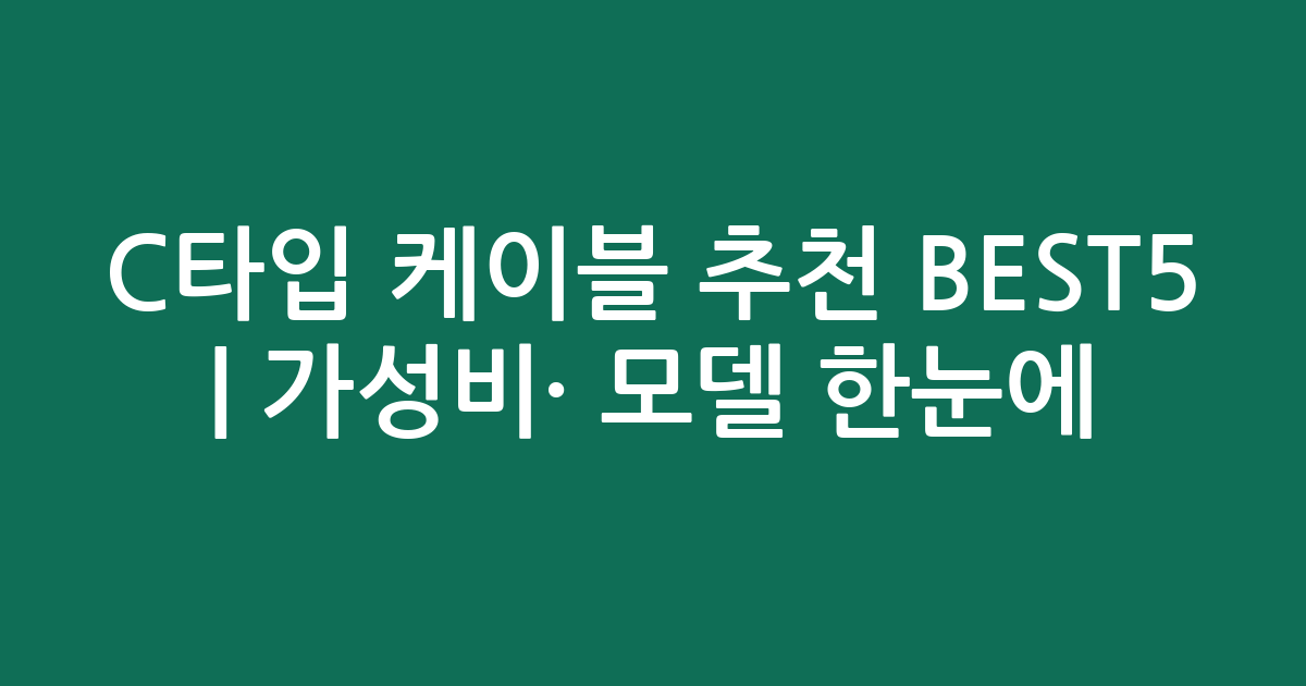 C타입 케이블 추천 BEST5 | 가성비·인기 모델 한눈에 비교