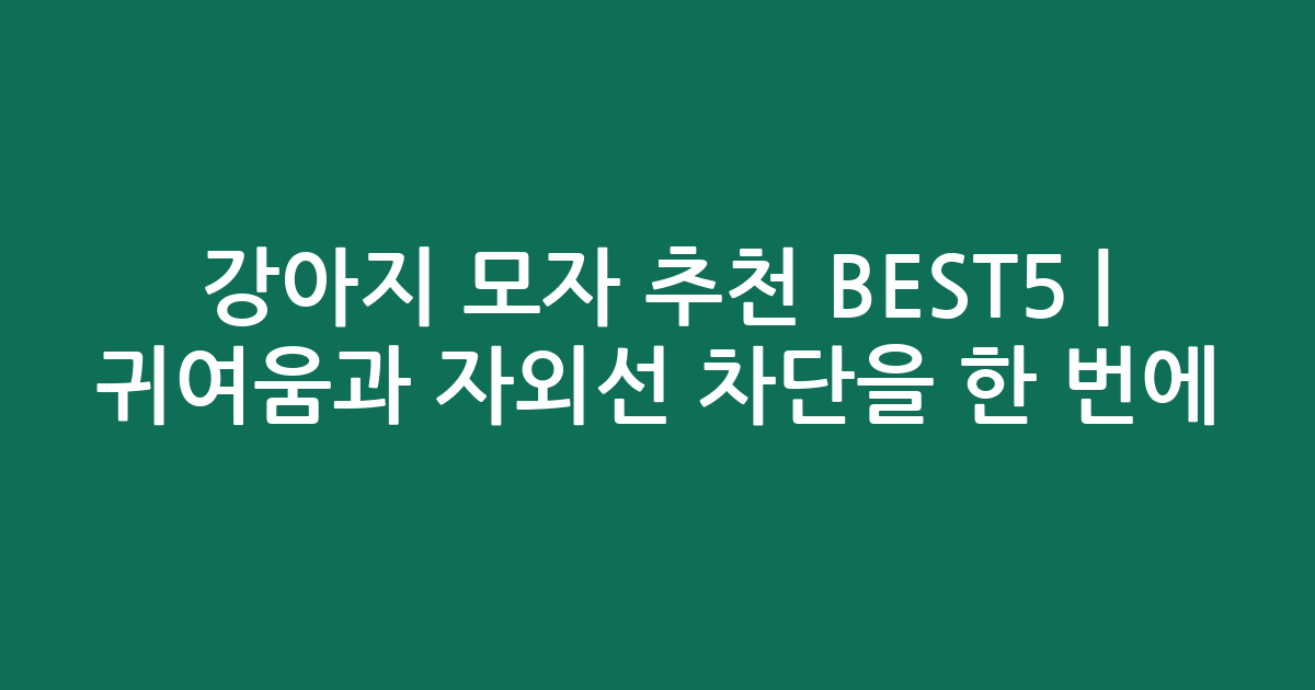 강아지 모자 추천 BEST5 | 귀여움과 자외선 차단을 한 번에!