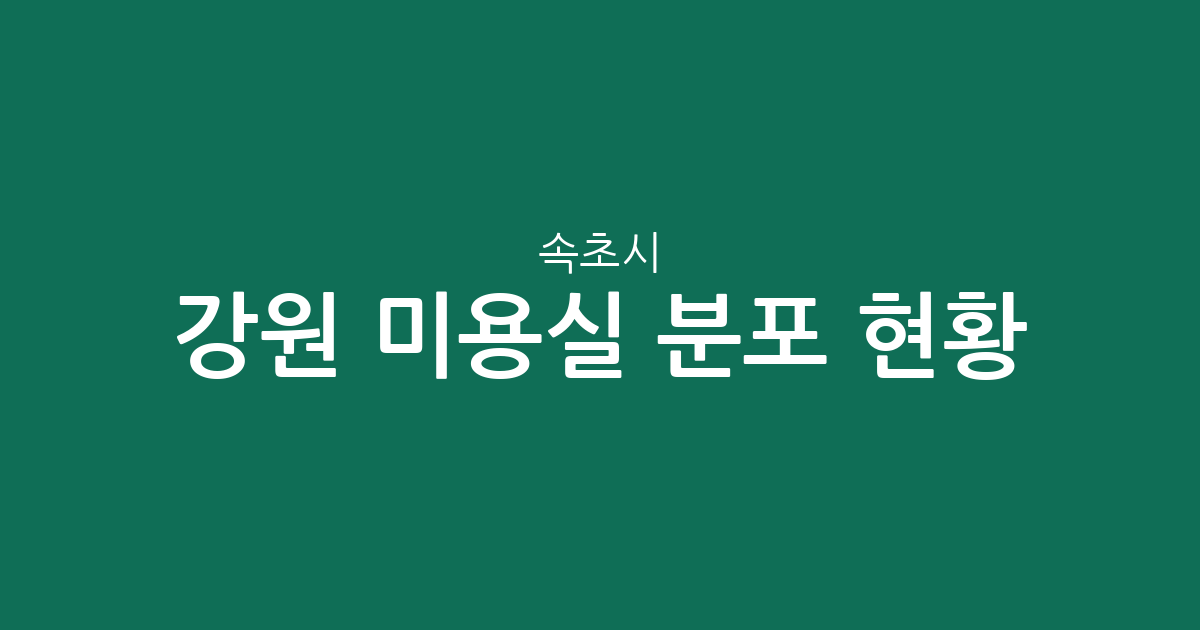 강원 속초시 미용실 분포 현황: 노학동부터 교동까지 상권 밀집 지역 분석