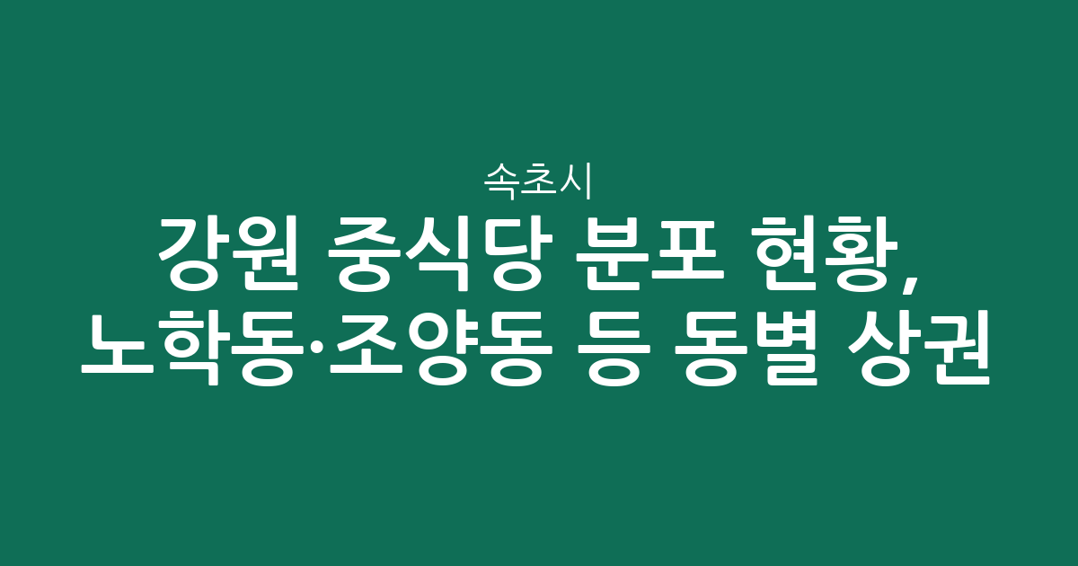 강원 속초시 중식당 분포 현황, 노학동·조양동 등 동별 상권 분석