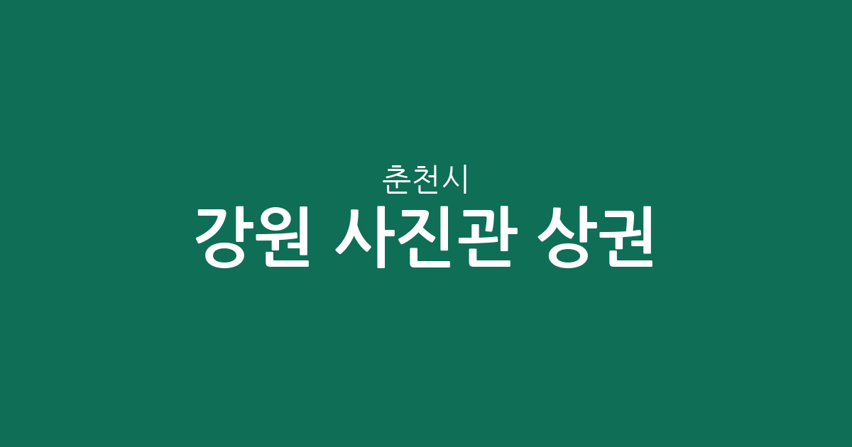 강원 춘천시 사진관 상권 분석: 소양동·효자3동 등 지역별 분포 현황