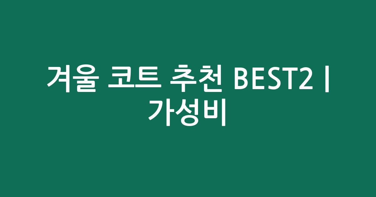 겨울 코트 추천 BEST2 | 가성비·인기 비교
