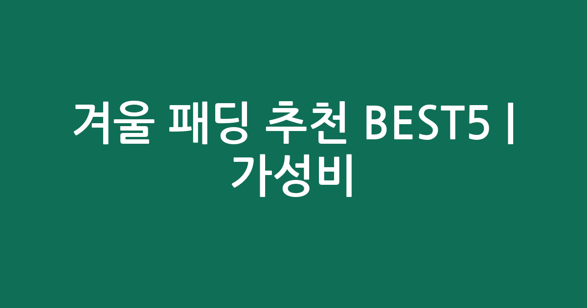 겨울 패딩 추천 BEST5 | 가성비·인기 비교
