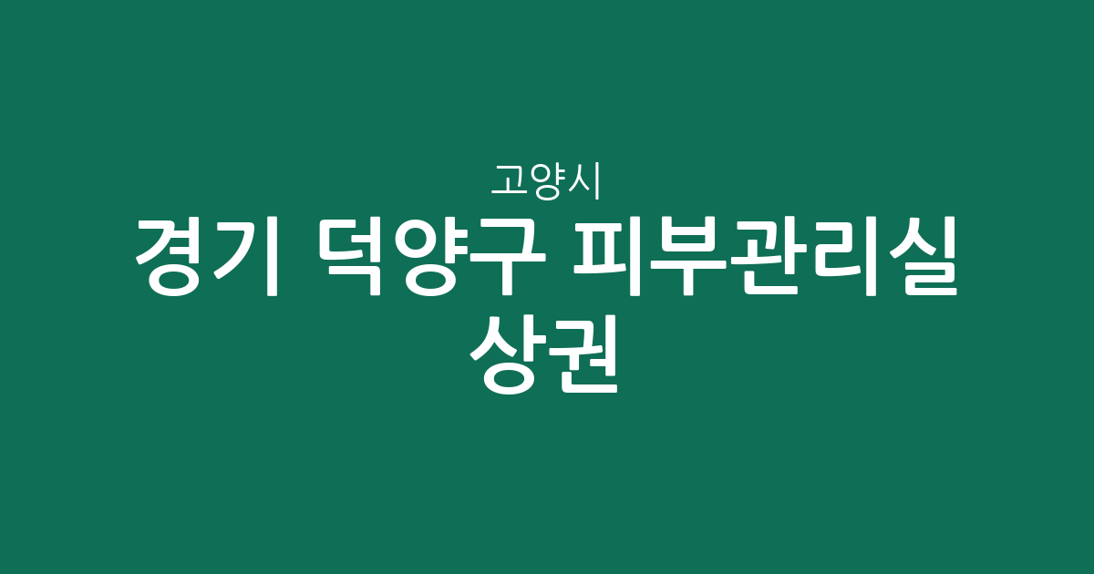 경기 고양시 덕양구 피부관리실 상권 분석: 행신동·고양동·화정동 밀집 지역 정리