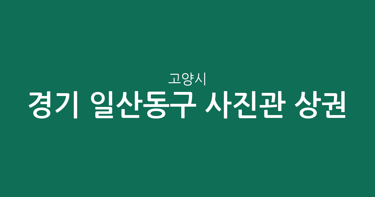 경기 고양시 일산동구 사진관 상권 분석: 정발산동부터 고봉동까지 분포 현황