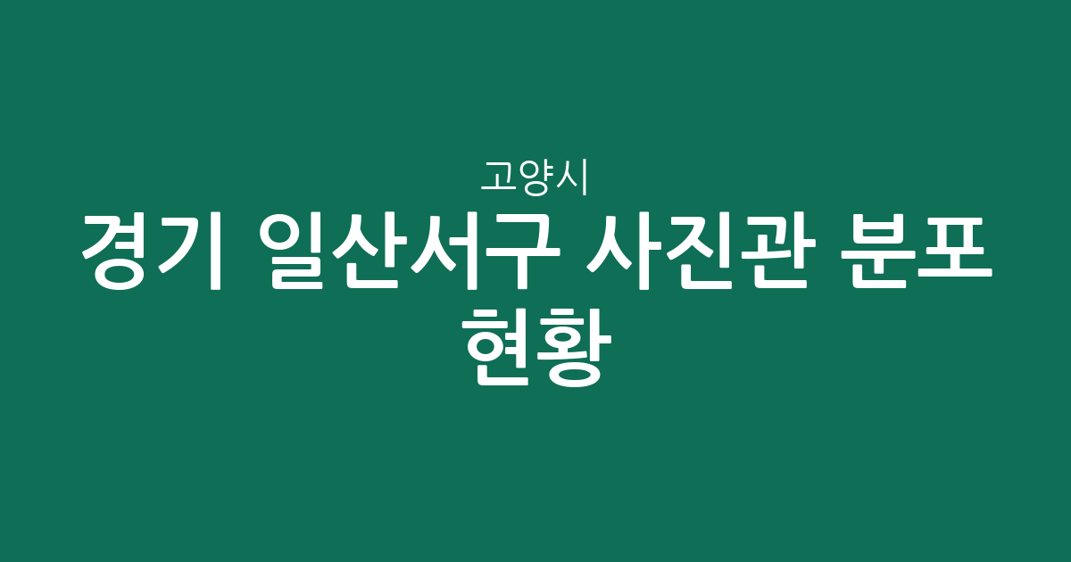 경기 고양시 일산서구 사진관 분포 현황: 대화·주엽·덕이동 중심의 상권 분석