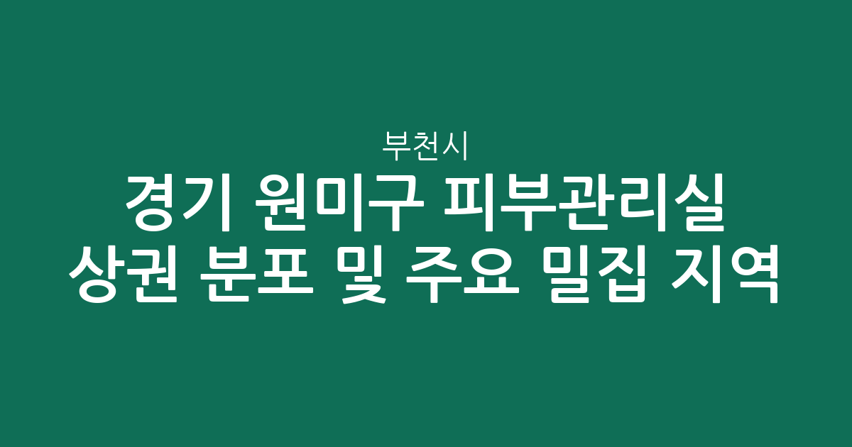 경기 부천시 원미구 피부관리실 상권 분포 및 주요 밀집 지역 분석