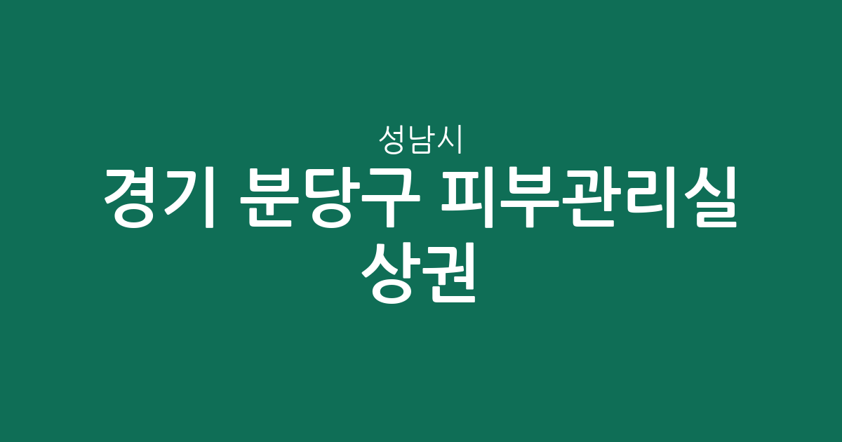 경기 성남시 분당구 피부관리실 상권 분석: 야탑·수내·정자 중심의 에스테틱 분포 현황