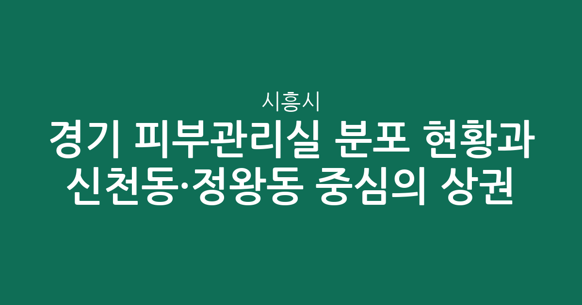 경기 시흥시 피부관리실 분포 현황과 신천동·정왕동 중심의 상권 분석