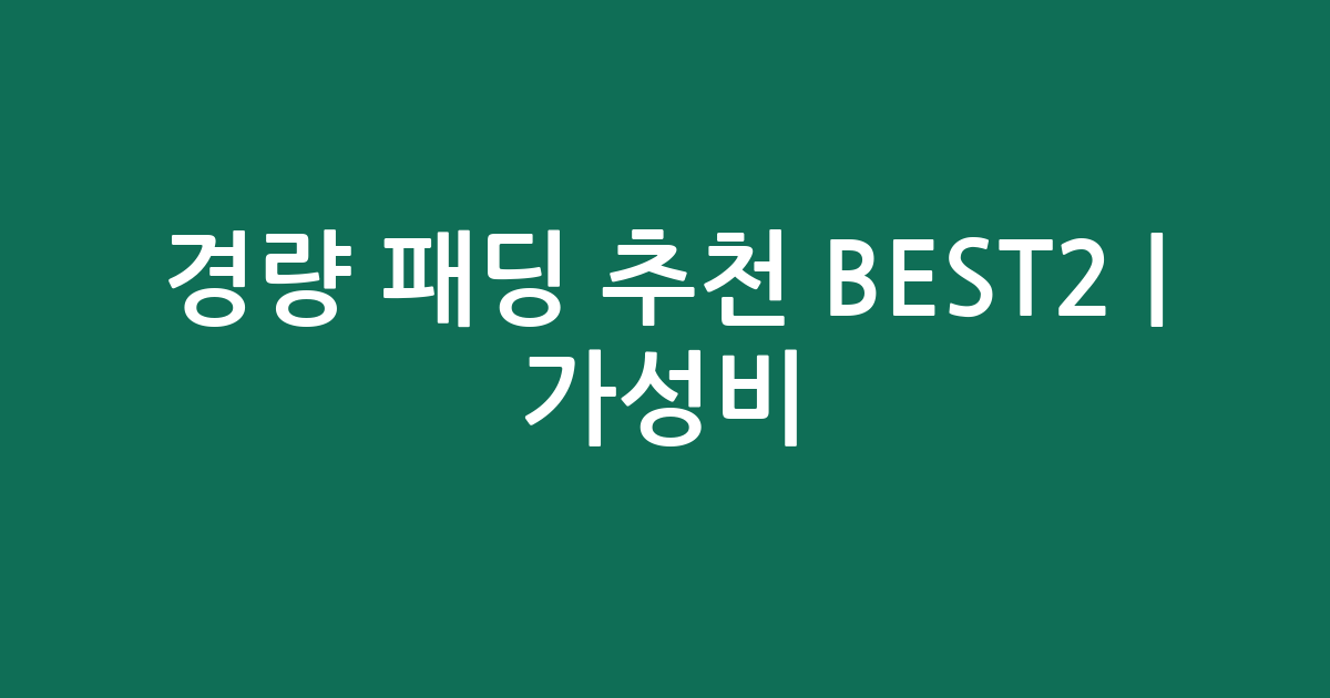 경량 패딩 추천 BEST2 | 가성비·인기 비교