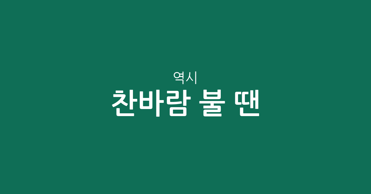 찬바람 불 땐 역시! 따뜻함 끝판왕 기모 맨투맨 추천
