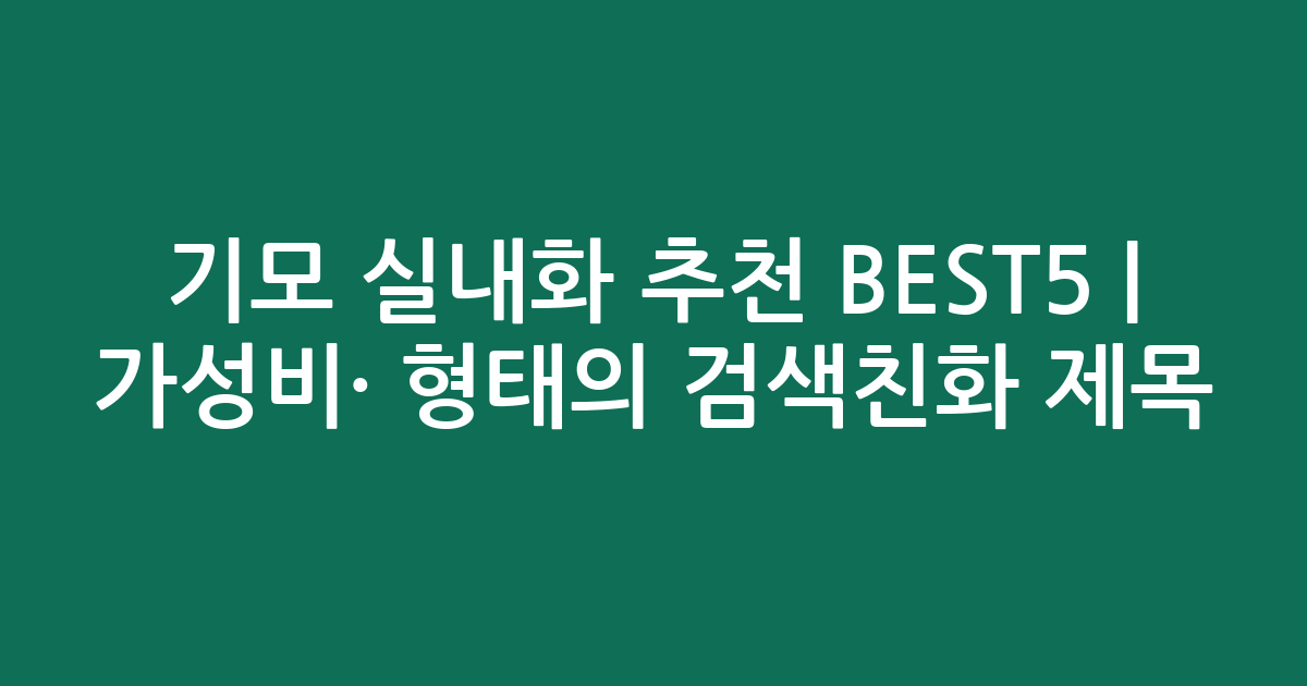 기모 실내화 추천 BEST5 | 가성비·인기 비교 형태의 검색친화 제목