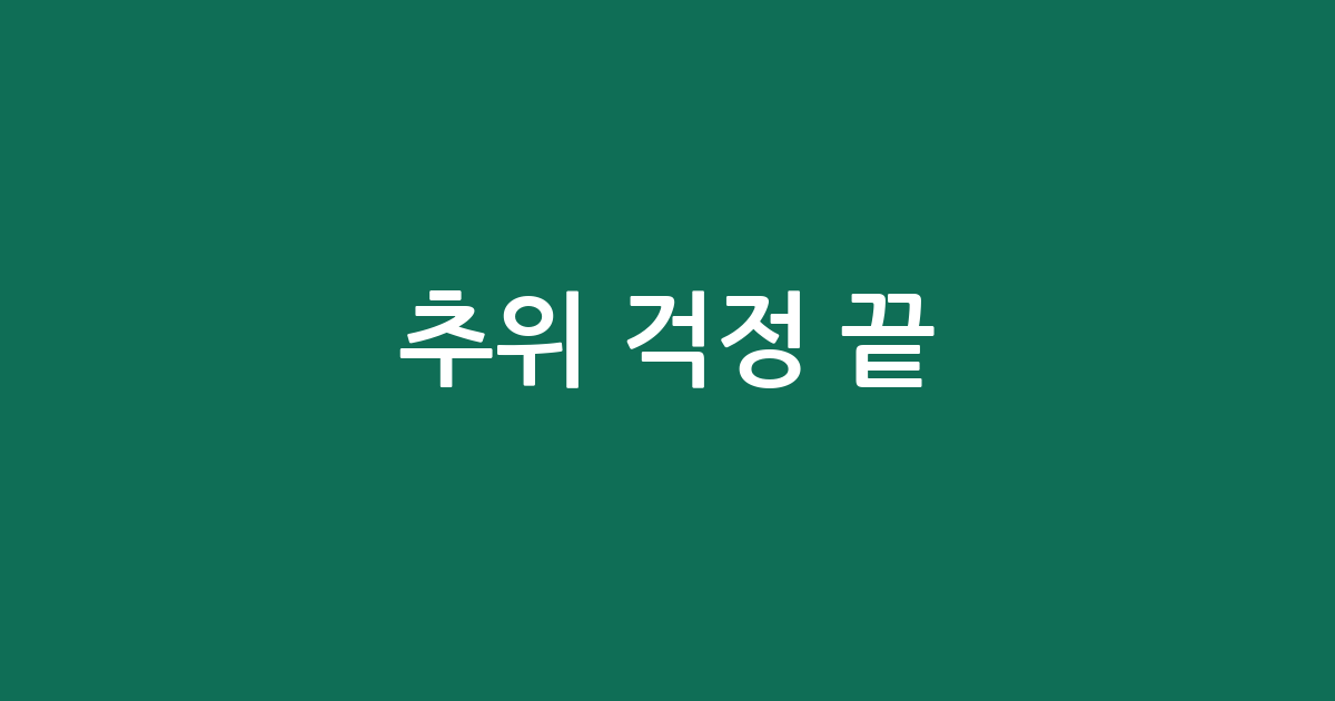 추위 걱정 끝! 따뜻함은 기본, 스타일까지 챙긴 기모 트레이닝복 추천 BEST5