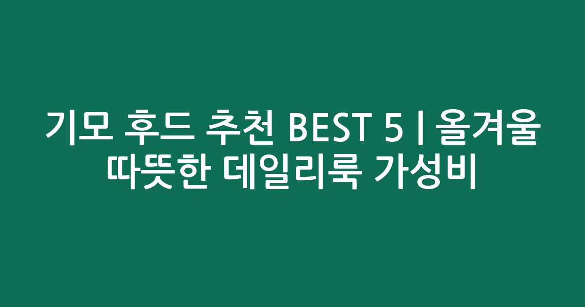 기모 후드 추천 BEST 5 | 올겨울 따뜻한 데일리룩 가성비 비교