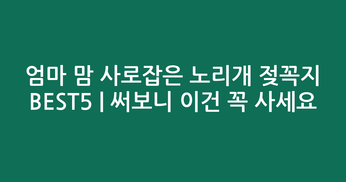 엄마 맘 사로잡은 노리개 젖꼭지 BEST5 | 써보니 이건 꼭 사세요!