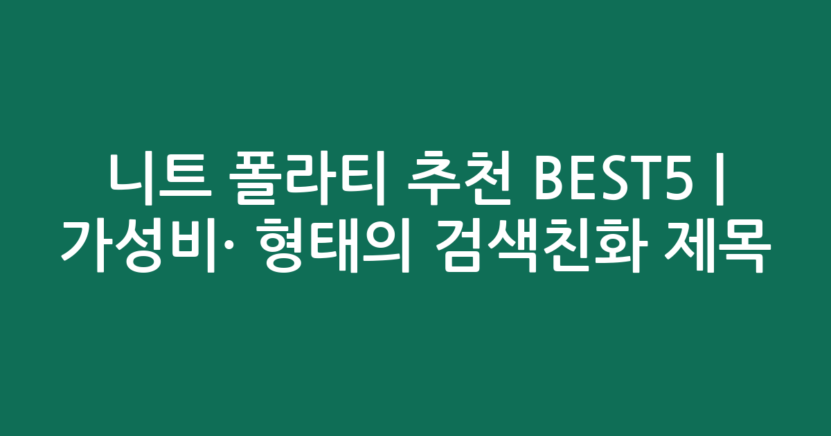 니트 폴라티 추천 BEST5 | 가성비·인기 비교 형태의 검색친화 제목