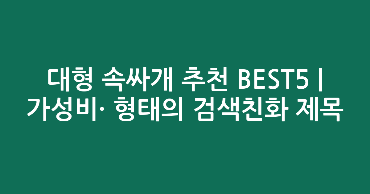 대형 속싸개 추천 BEST5 | 가성비·인기 비교 형태의 검색친화 제목
