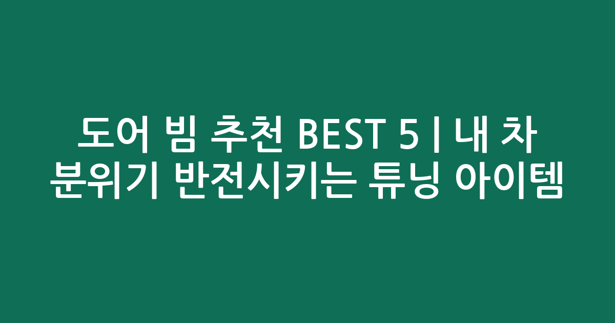 도어 빔 추천 BEST 5 | 내 차 분위기 반전시키는 튜닝 아이템 비교