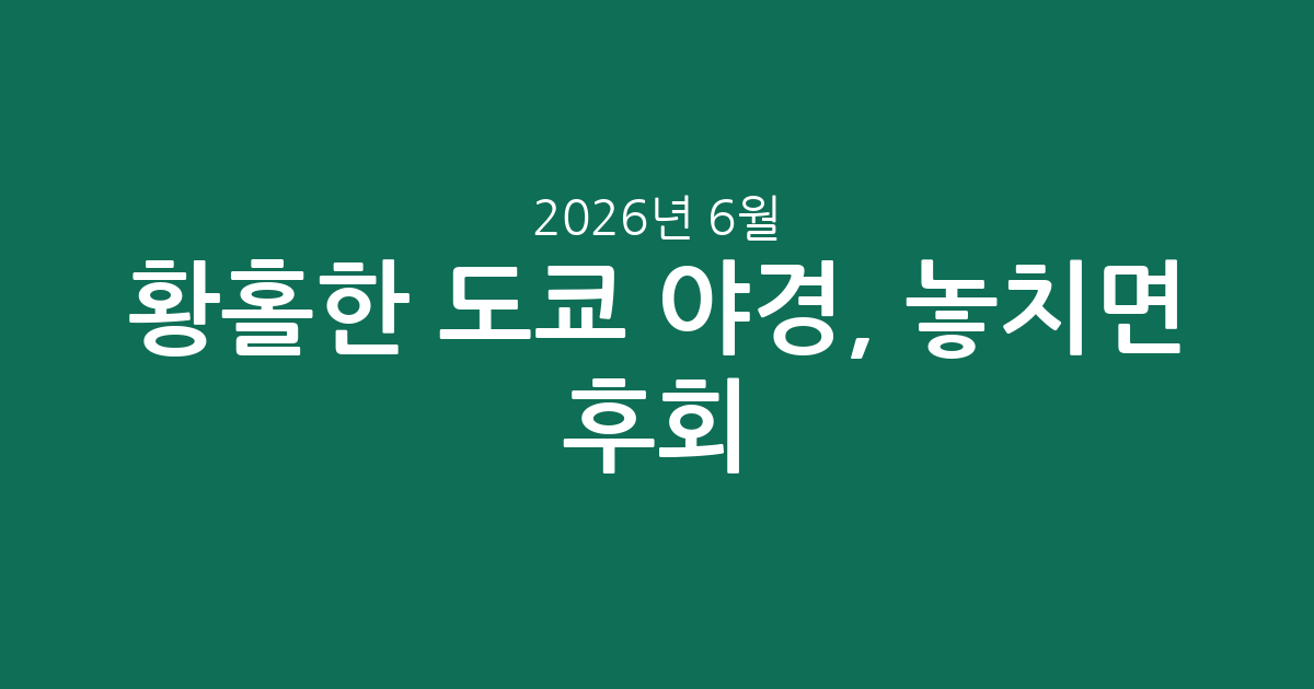 황홀한 도쿄 야경, 놓치면 후회! 추천 투어 & 가격 비교 (2026년 6월 기준)