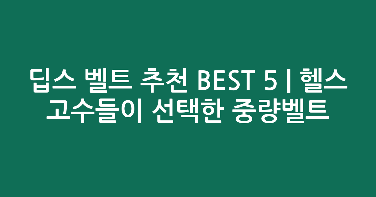 딥스 벨트 추천 BEST 5 | 헬스 고수들이 선택한 중량벨트 비교