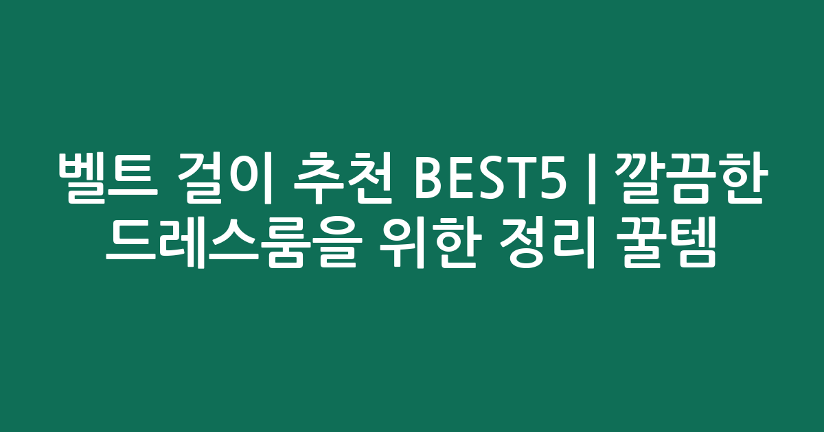 벨트 걸이 추천 BEST5 | 깔끔한 드레스룸을 위한 정리 꿀템