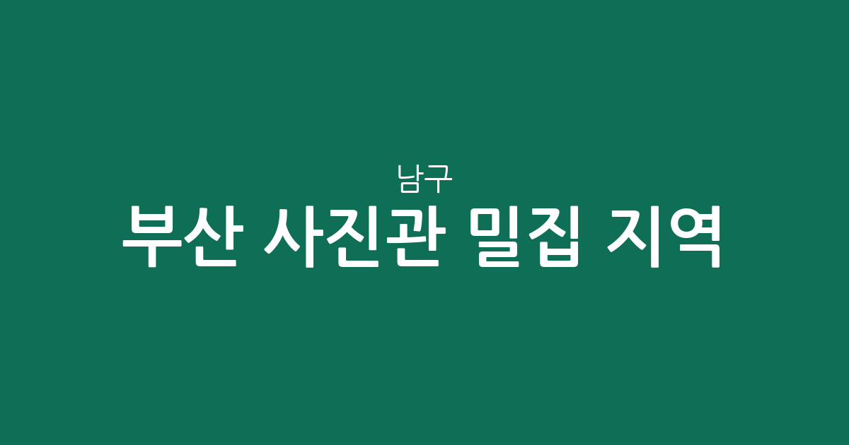 부산 남구 사진관 밀집 지역 분석: 대연동부터 문현동까지 동네별 상권 현황