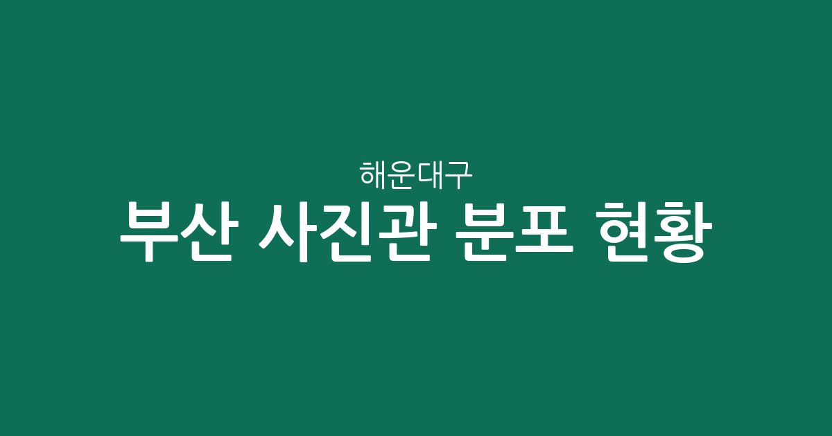 부산 해운대구 사진관 분포 현황: 송정동·우동 일대 밀집 상권 분석