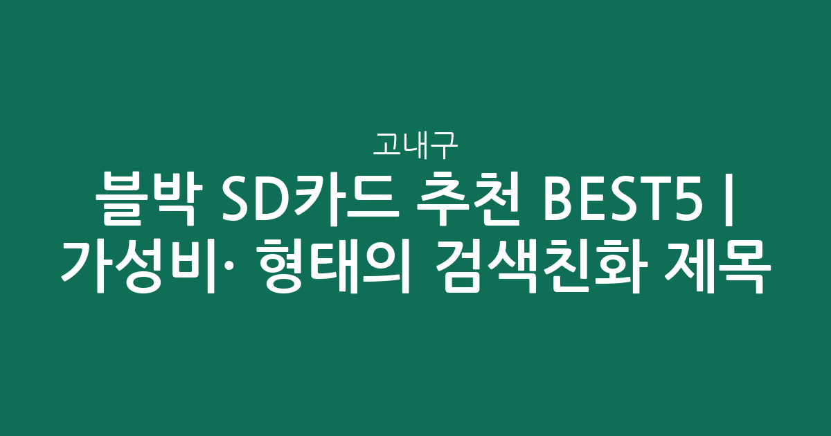 블박 SD카드 고내구 추천 BEST5 | 가성비·인기 비교 형태의 검색친화 제목