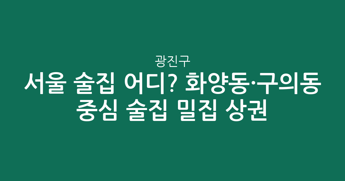 서울 광진구 술집 어디? 화양동·구의동 중심 술집 밀집 상권 분석