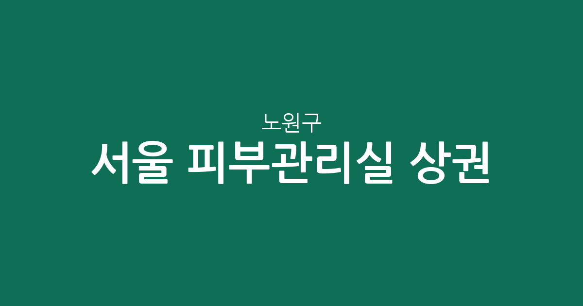 서울 노원구 피부관리실 상권 분석: 상계동 중심 밀집 지역과 지역별 분포 현황