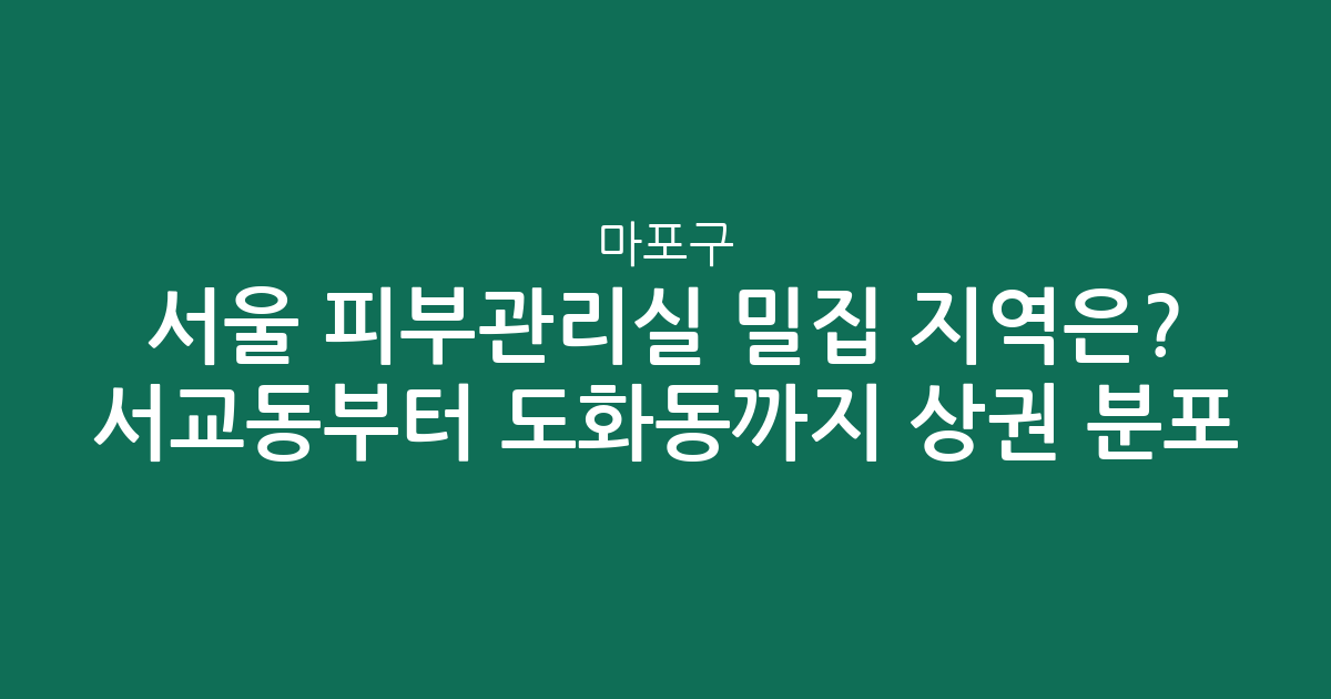 서울 마포구 피부관리실 밀집 지역은? 서교동부터 도화동까지 상권 분포 분석