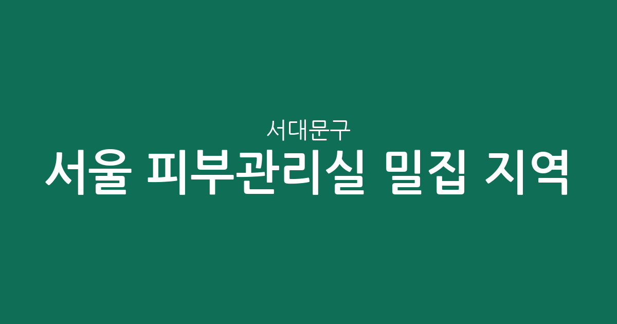 서울 서대문구 피부관리실 밀집 지역 분석: 신촌동부터 북가좌2동까지 한눈에 보기
