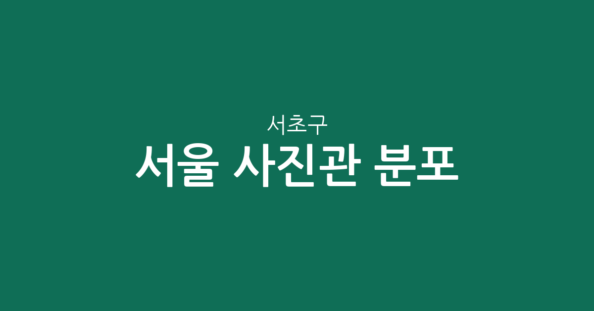 서울 서초구 사진관 분포 분석: 잠원동부터 양재동까지 지역별 밀집 현황