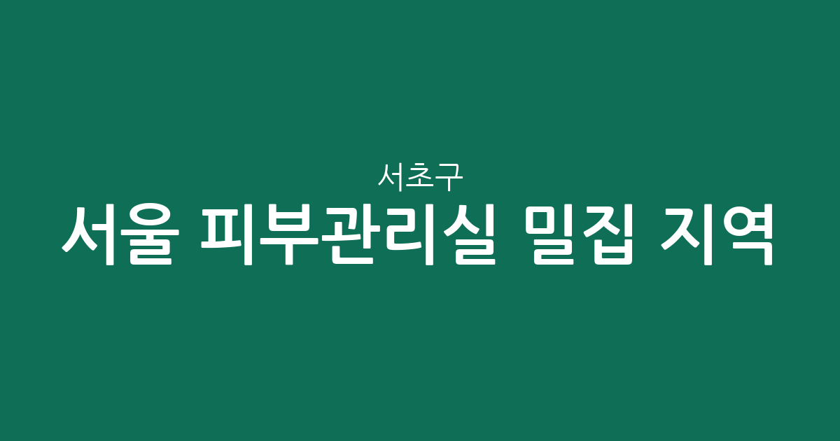 서울 서초구 피부관리실 밀집 지역 분석: 방배동과 반포동 에스테틱 상권 가이드