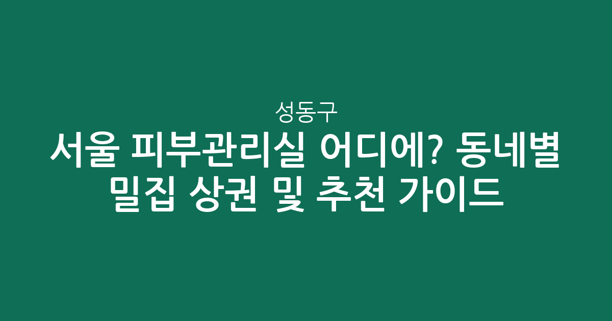 서울 성동구 피부관리실 어디에? 동네별 밀집 상권 분석 및 추천 가이드