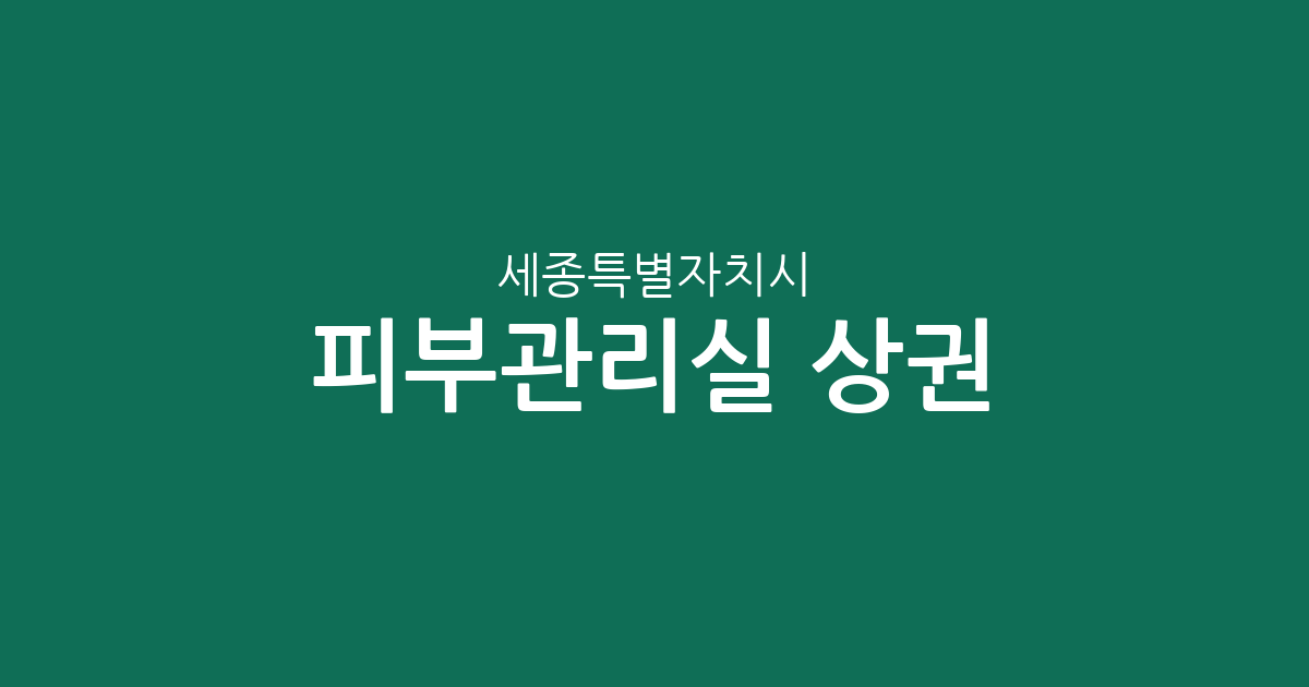 세종특별자치시 피부관리실 상권 분석: 나성동·조치원읍 등 주요 분포지 정보