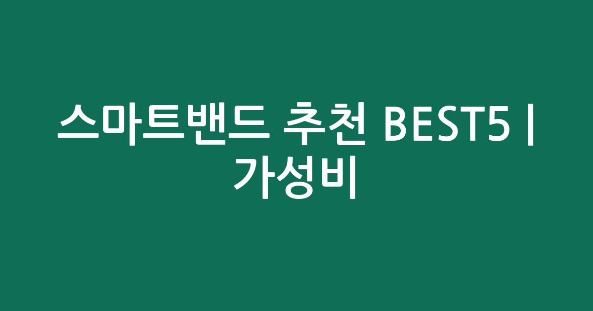 스마트밴드 추천 BEST5 | 가성비·인기 비교