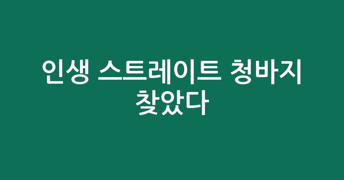 인생 스트레이트 청바지 찾았다! 편안함 끝판왕 추천