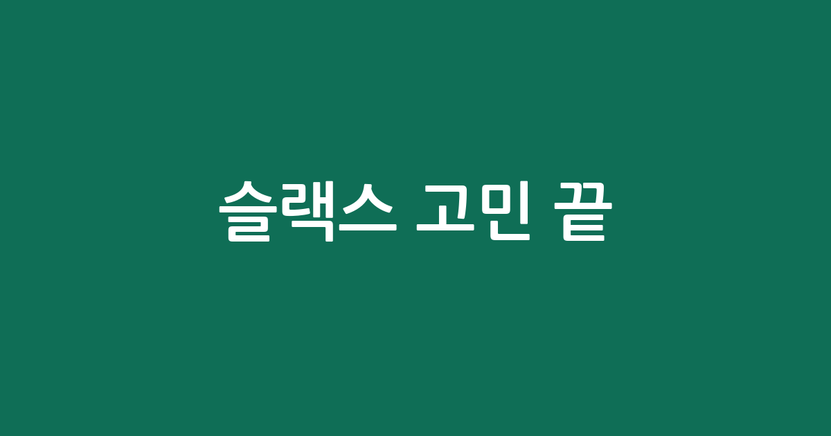 슬랙스 고민 끝! 써보니 좋았던 BEST5