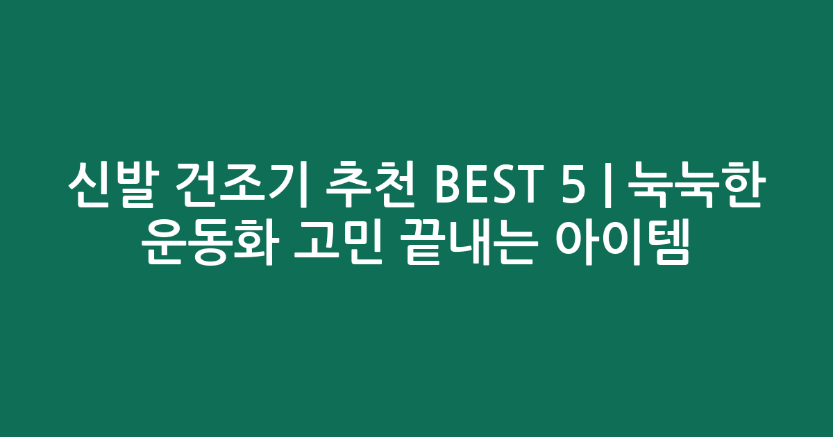 신발 건조기 추천 BEST 5 | 눅눅한 운동화 고민 끝내는 인기 아이템 비교