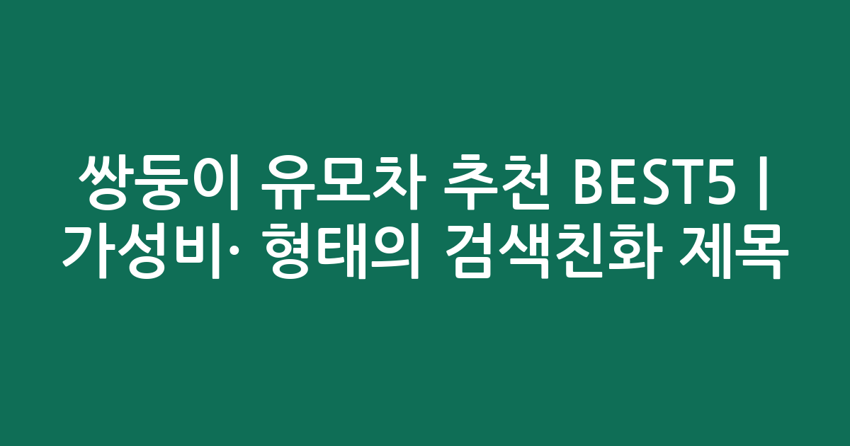 쌍둥이 유모차 추천 BEST5 | 가성비·인기 비교 형태의 검색친화 제목
