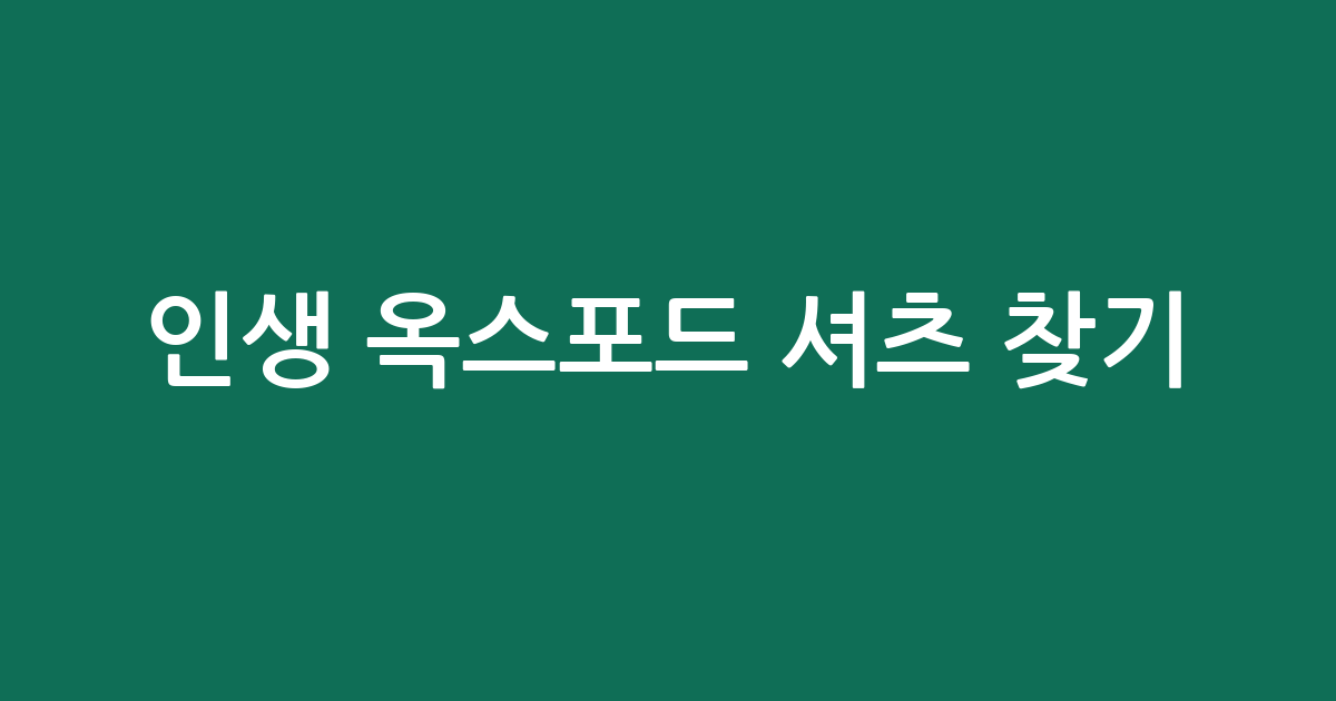 인생 옥스포드 셔츠 찾기! 가성비부터 시티보이룩까지 BEST 5