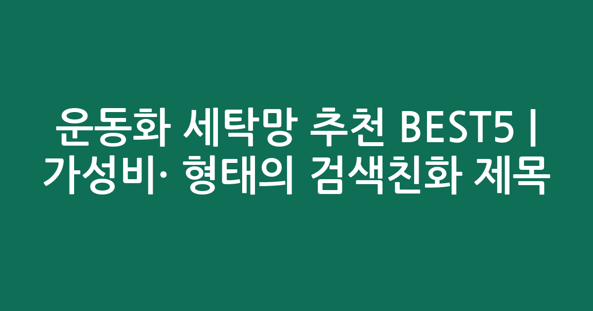 운동화 세탁망 추천 BEST5 | 가성비·인기 비교 형태의 검색친화 제목