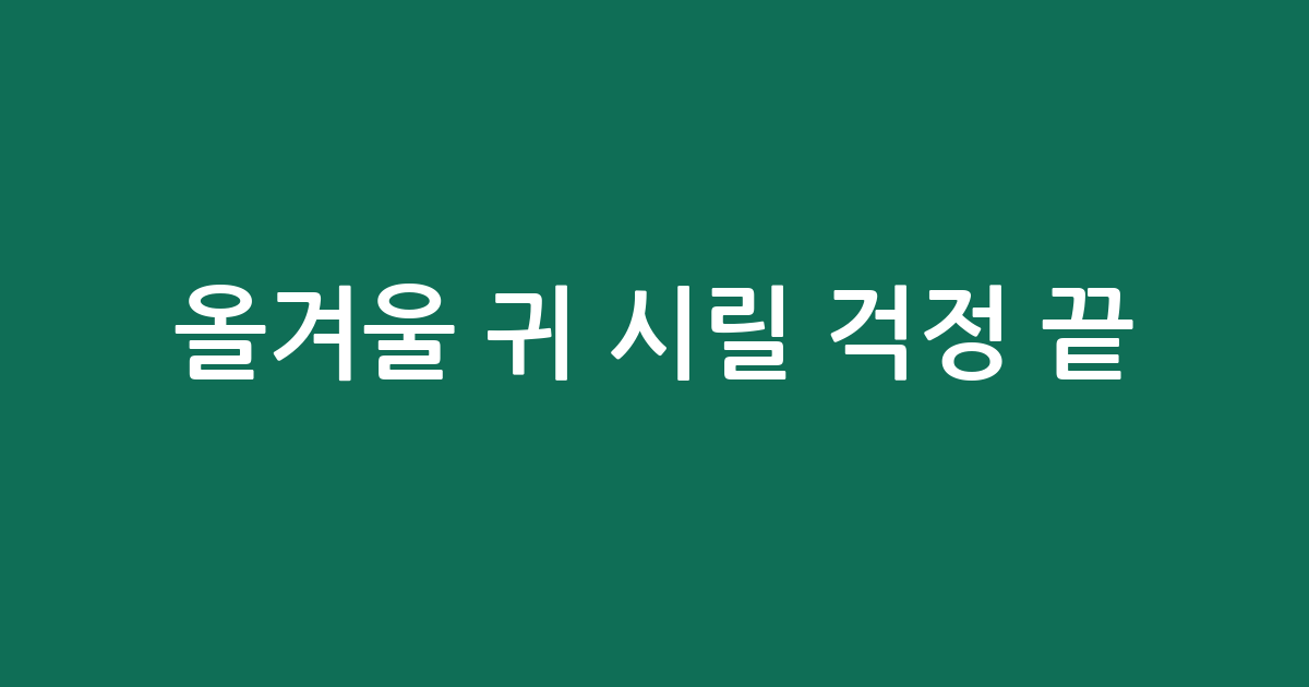 올겨울 귀 시릴 걱정 끝! 따뜻함과 스타일을 잡는 이어밴드 방한 추천
