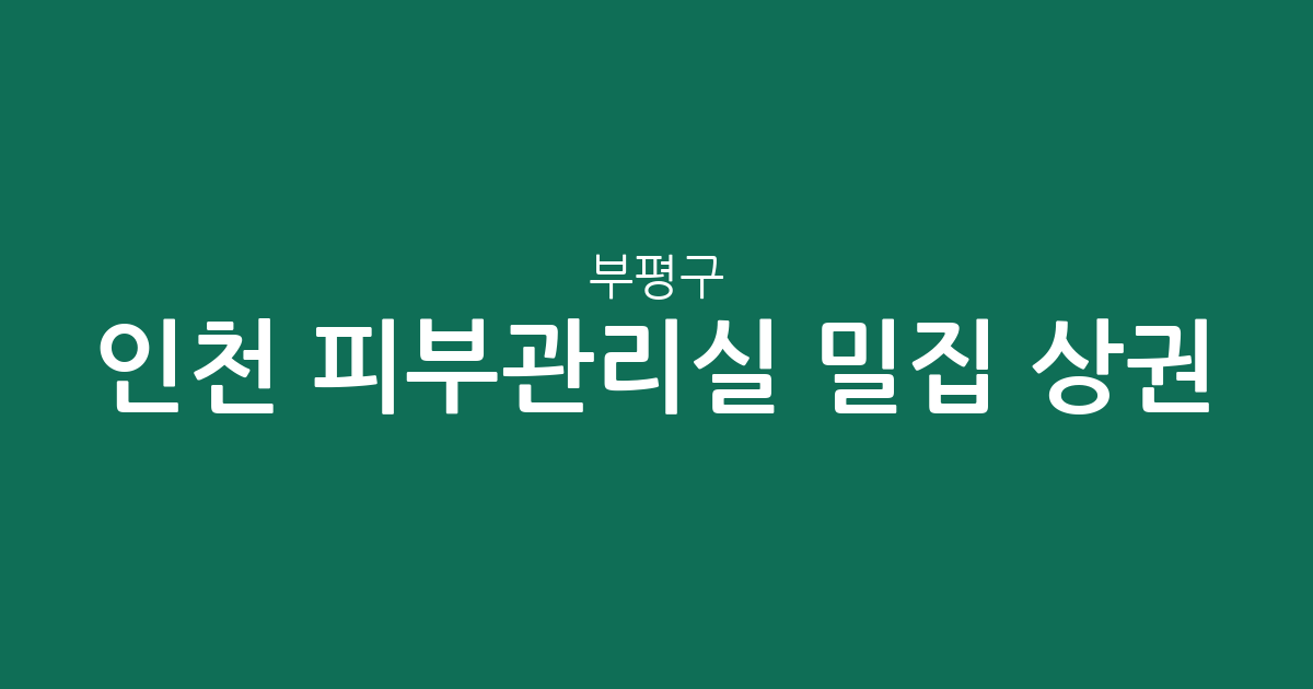 인천 부평구 피부관리실 밀집 상권 분석: 부평동 중심의 에스테틱 분포 현황