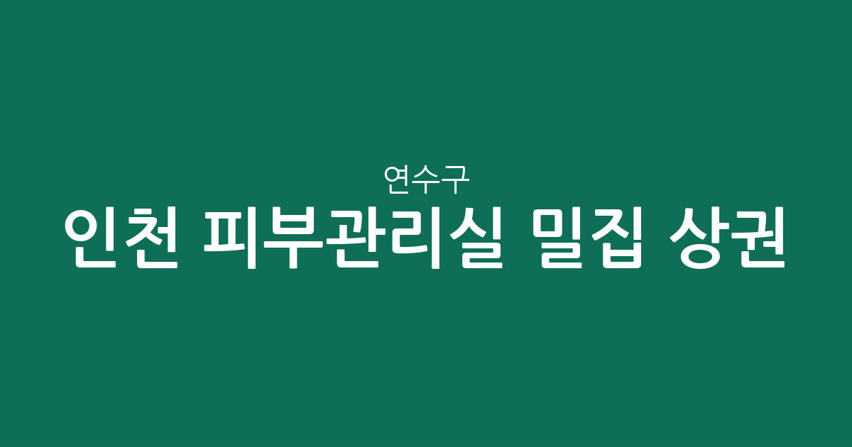 인천 연수구 피부관리실 밀집 상권 분석: 송도2동·동춘2동 중심으로 알아보는 에스테틱 분포