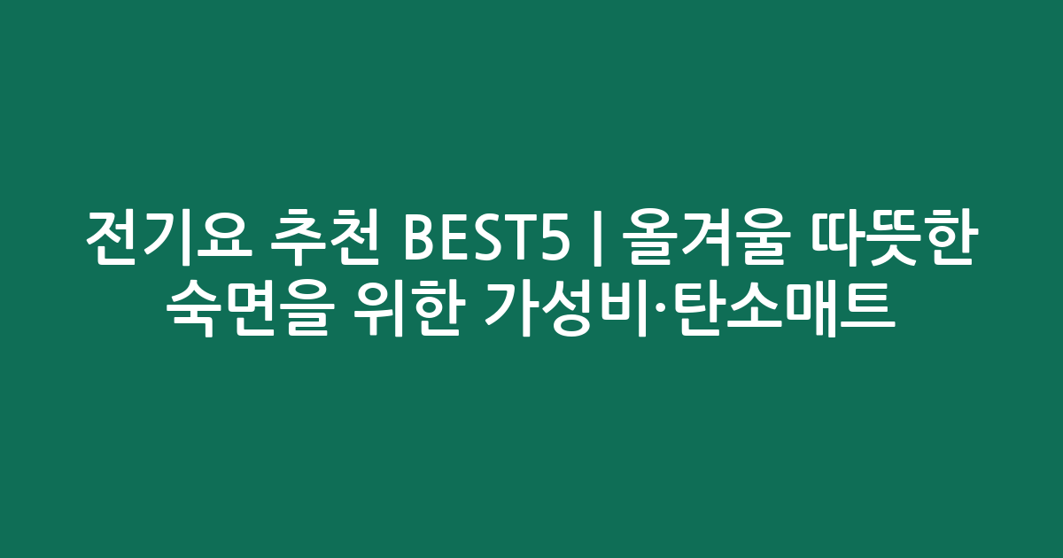 전기요 추천 BEST5 | 올겨울 따뜻한 숙면을 위한 가성비·탄소매트 비교