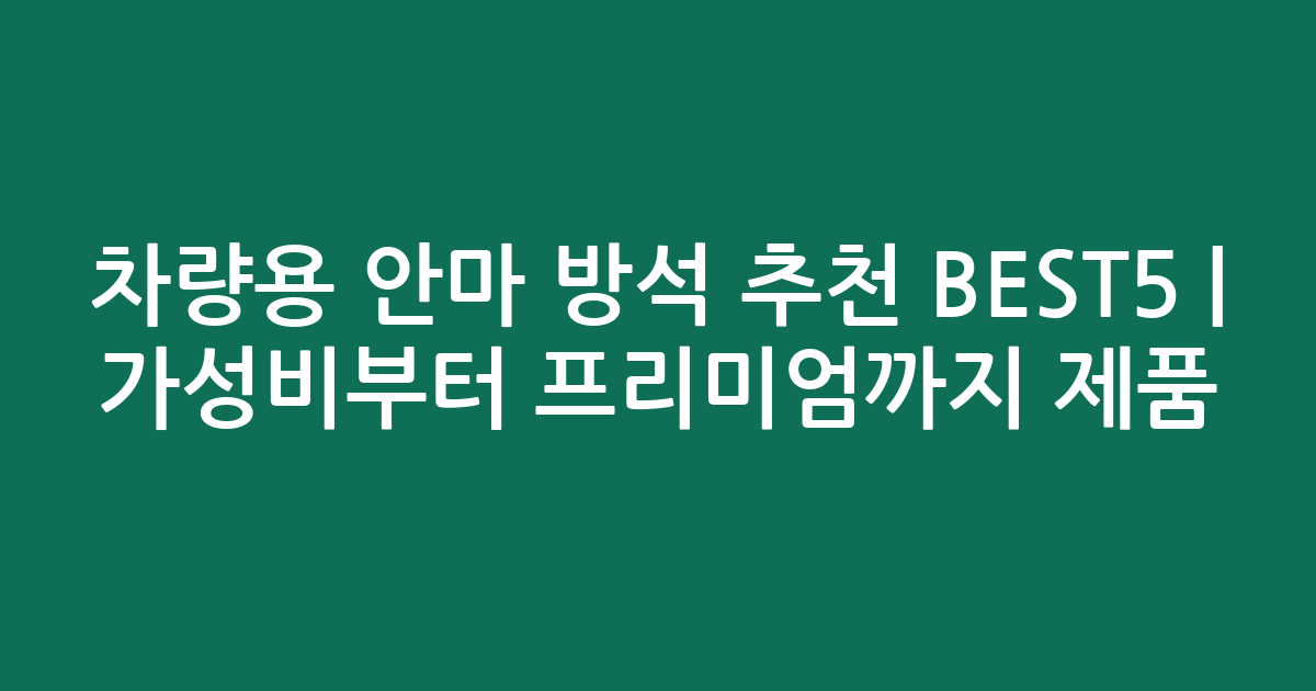 차량용 안마 방석 추천 BEST5 | 가성비부터 프리미엄까지 인기 제품 비교