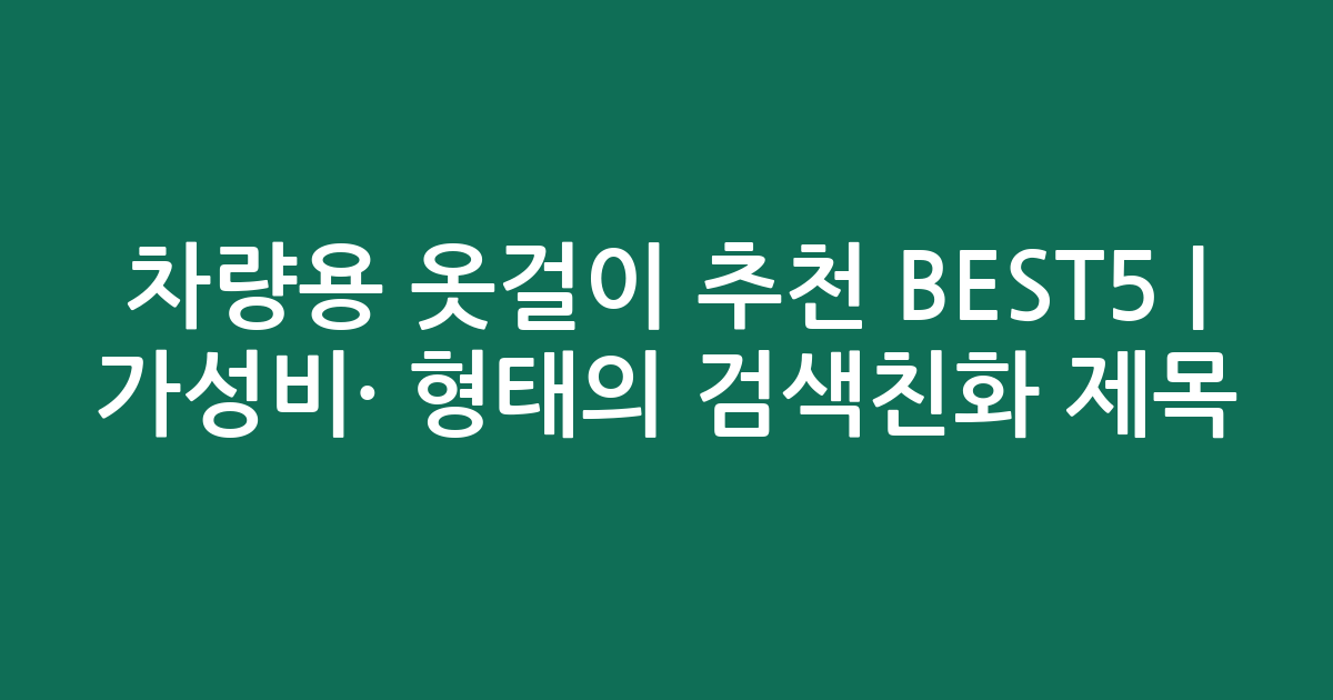 차량용 옷걸이 추천 BEST5 | 가성비·인기 비교 형태의 검색친화 제목