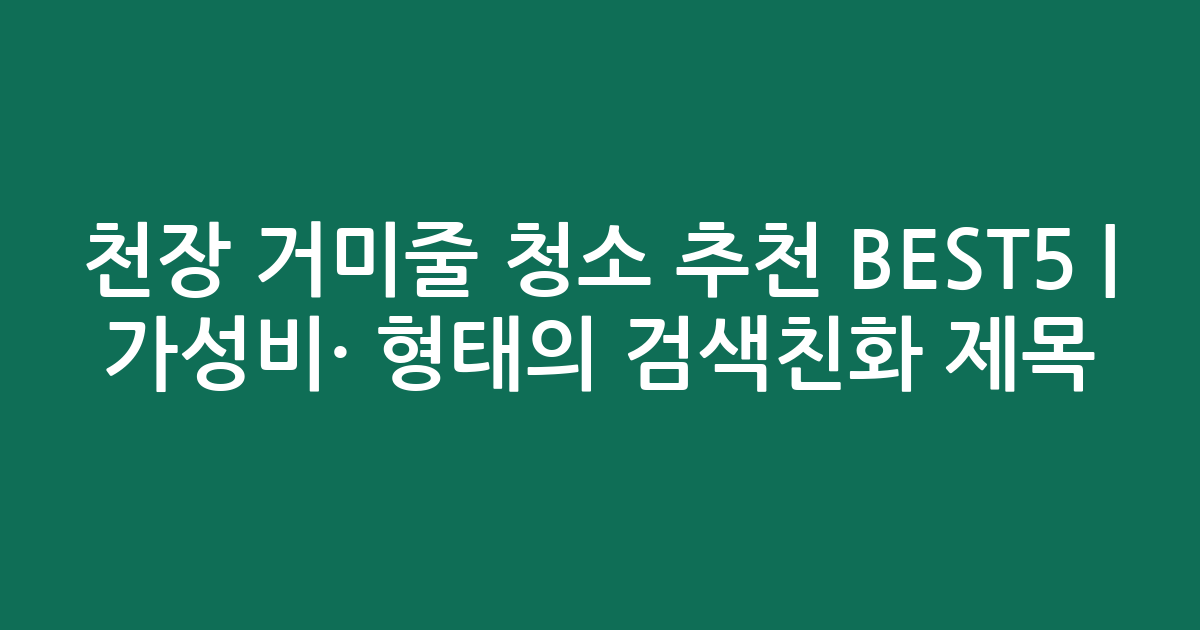 천장 거미줄 청소 추천 BEST5 | 가성비·인기 비교 형태의 검색친화 제목